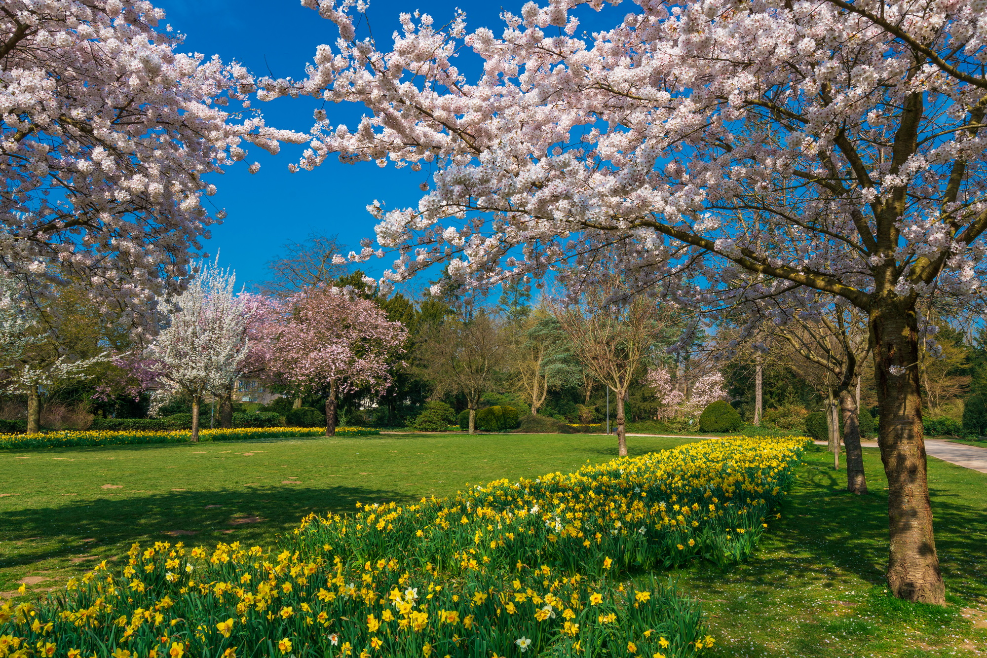 Beautiful outdoor scenery. Spring landscape